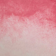 Sakura - La Nouvelle Vague Couleur