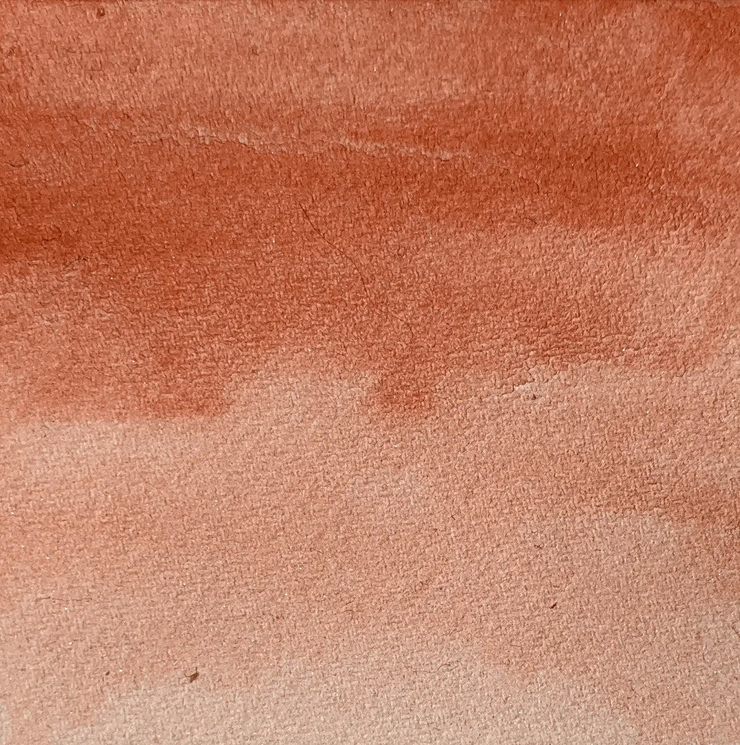 Siena - La Nouvelle Vague Couleur