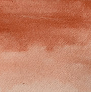 Siena - La Nouvelle Vague Couleur