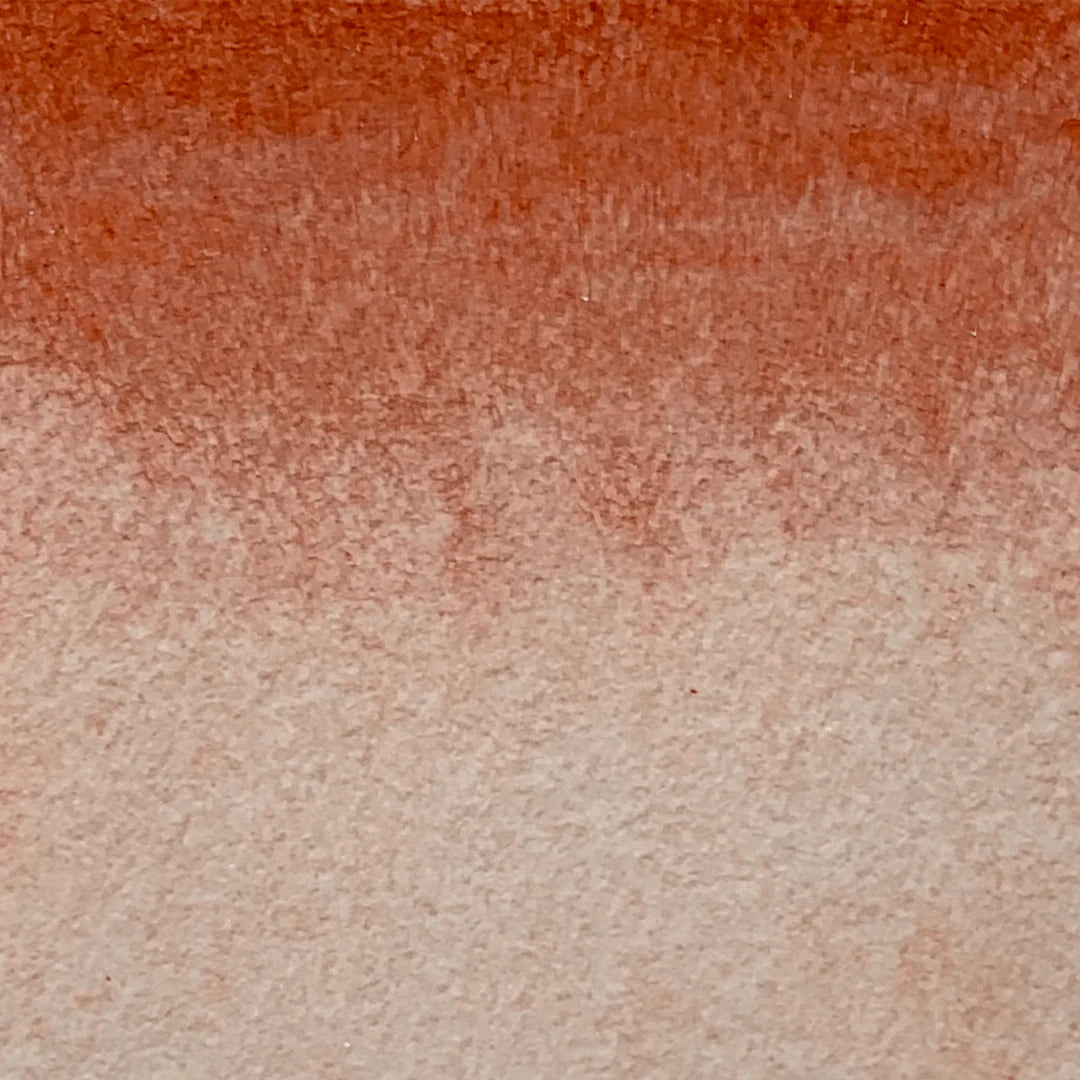 Terre Battue - La Nouvelle Vague Couleur