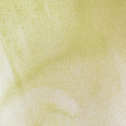 Vincent - La Nouvelle Vague Couleurs