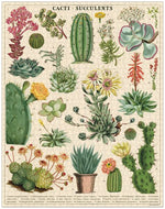 Chargez l'image dans le visionneur de galerie, Cacti &amp; Succulents 1000 Pièces - Cavallini &amp; Co