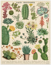 Cacti & Succulents 1000 Pièces - Cavallini & Co